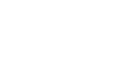 Bricks Marketing